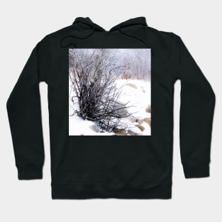 Blizzard scene Hoodie